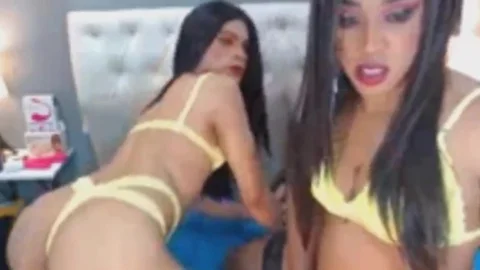 t-girl pair smutty Bedroom penis engulfing
