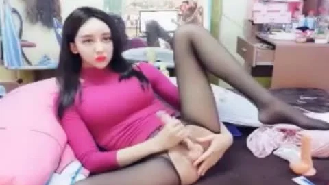 Korean TS