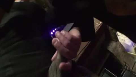 Beatrice Andrade Enjoys With A Stranger bareback