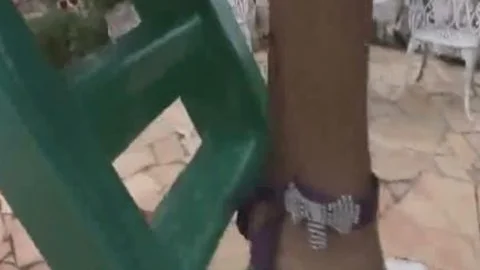 ladyboy honey Paola Lima Masturbating outside