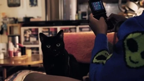 Being Trans 24/7: Vanniall's Unique Path