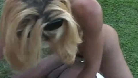 Two homosexual guys And tranny Lisa Lawer outdoors slamming Each Others anal Holes